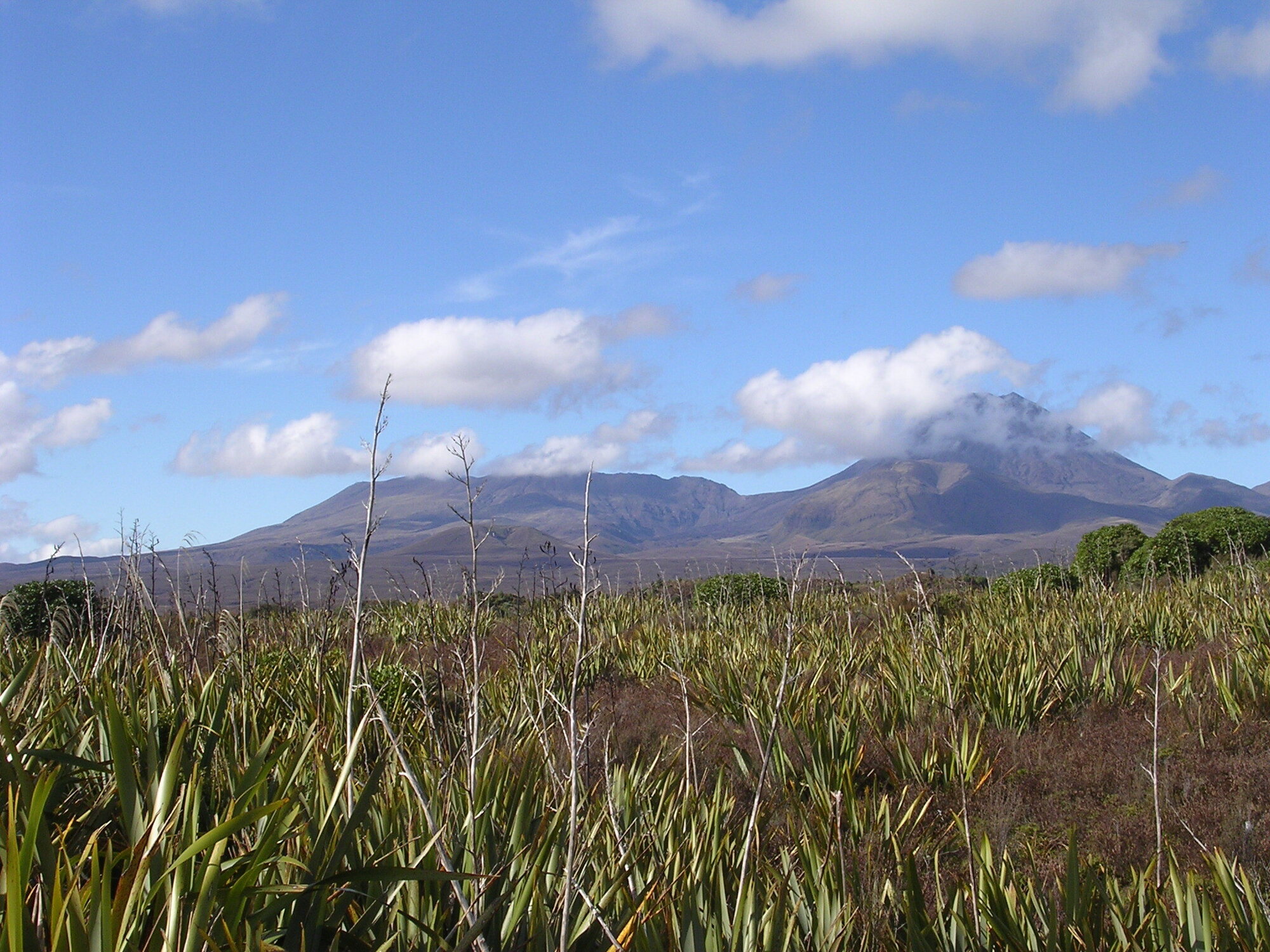 Mounts Tongariro and Ngauruhoe