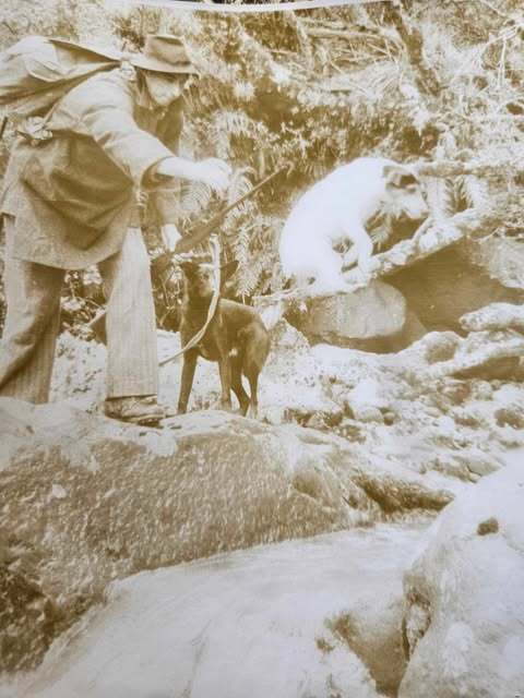 Wally Sander tossing a mate's dog across a stream
