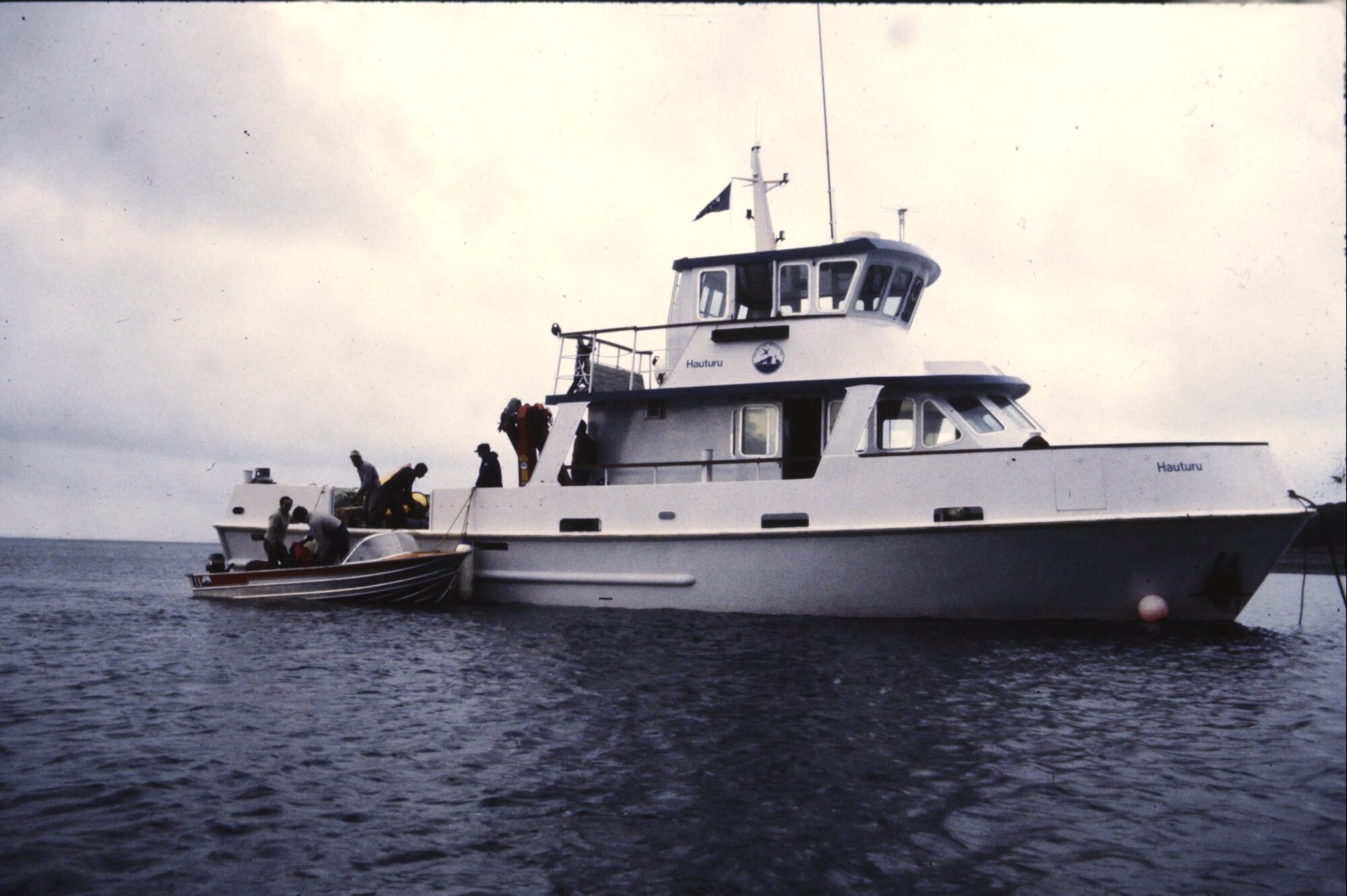 Hauturu loading at Little Barrier