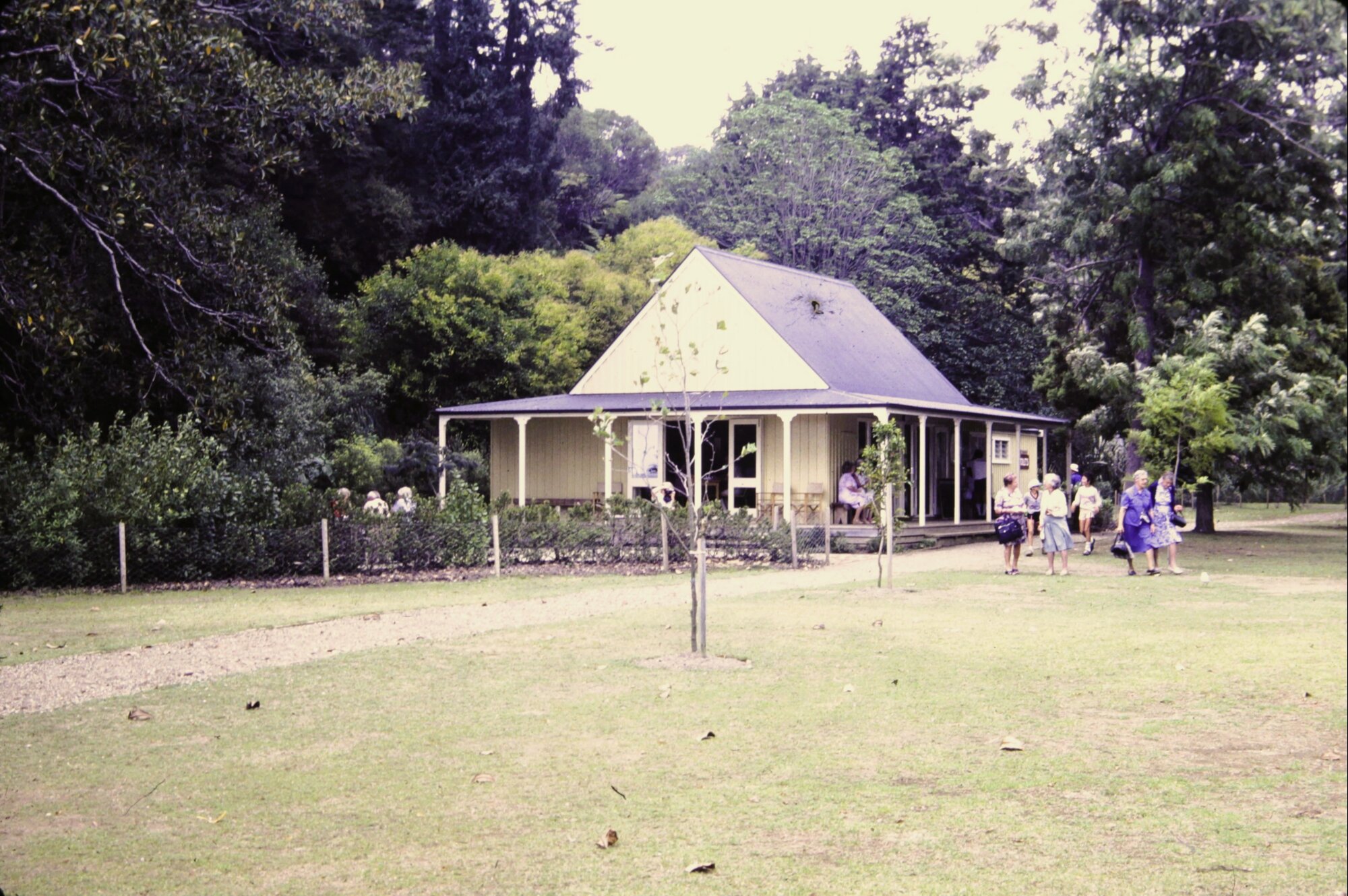 Kawau Island tea room