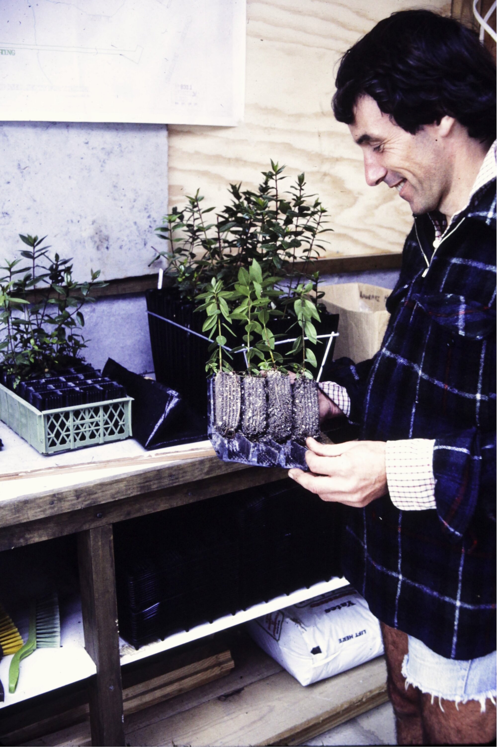 Mike Cole in the greenhouse on Tiritiri Matangi Island