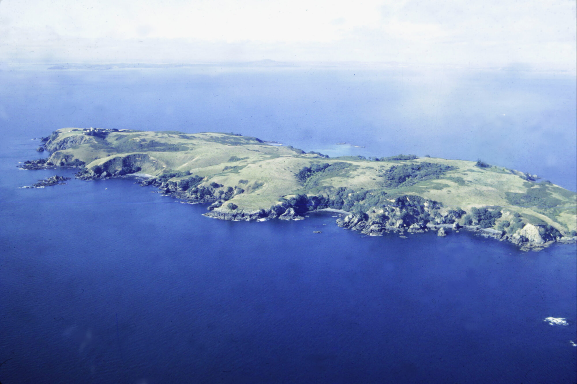 Tiritiri Matangi Island from the air, before revegetation
