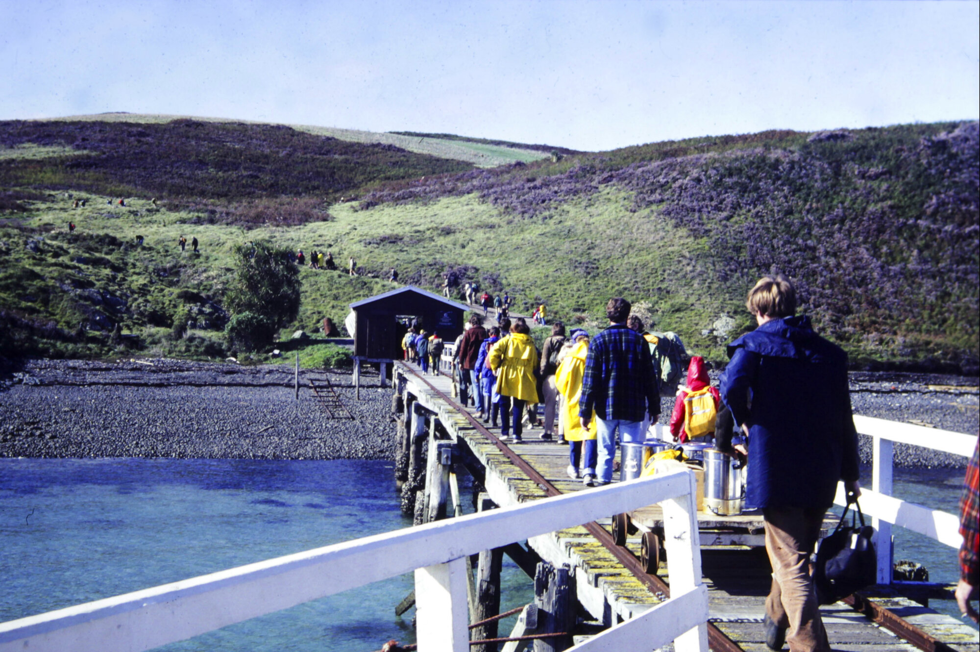 Tree planting group landing at Tiritiri Matangi Island