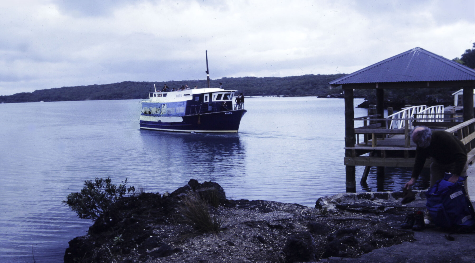 Blue Boat coming into Islington Bay Wharf, Rangitoto Island