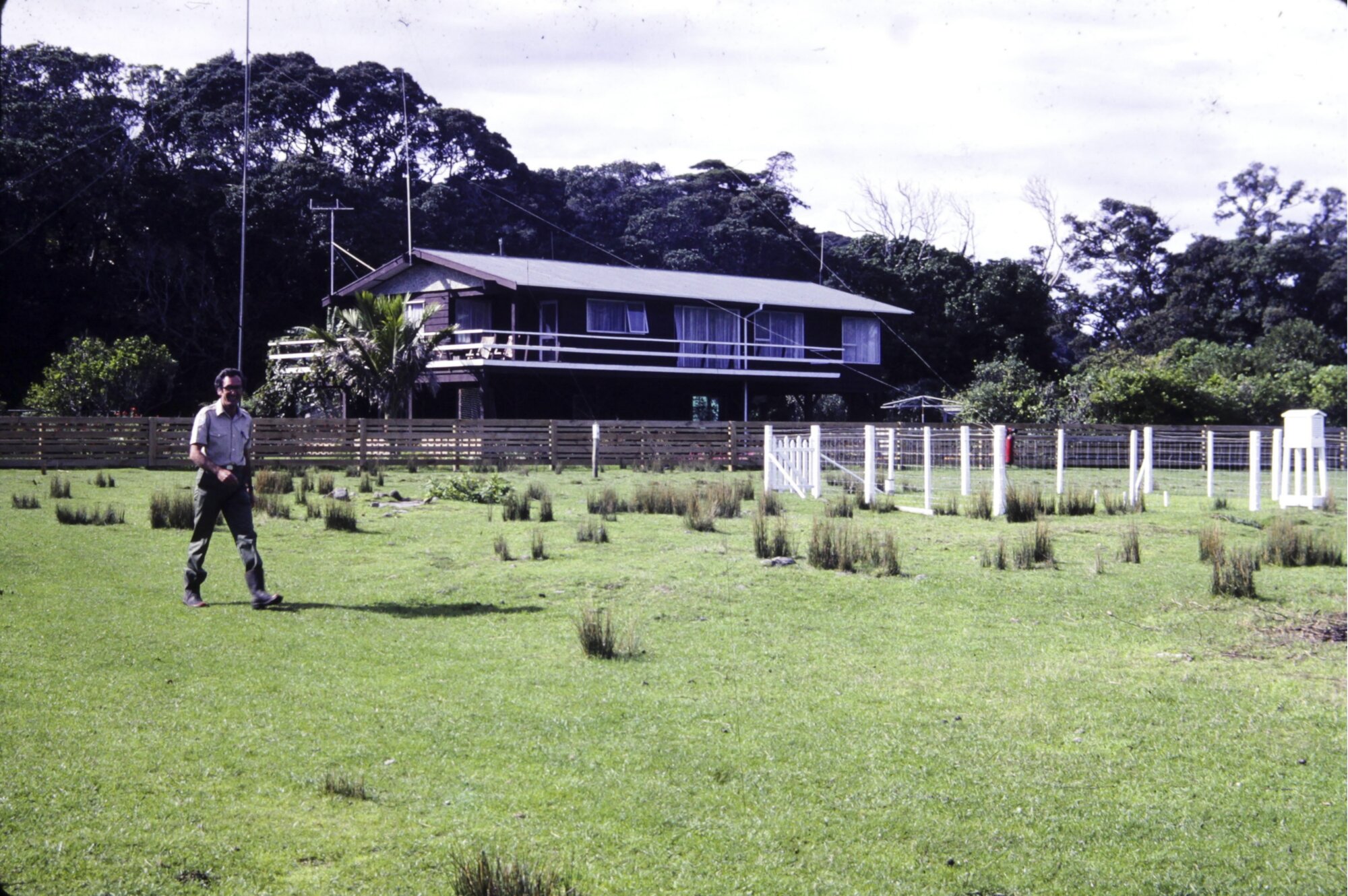 Ranger's accommodation, Little Barrier Island