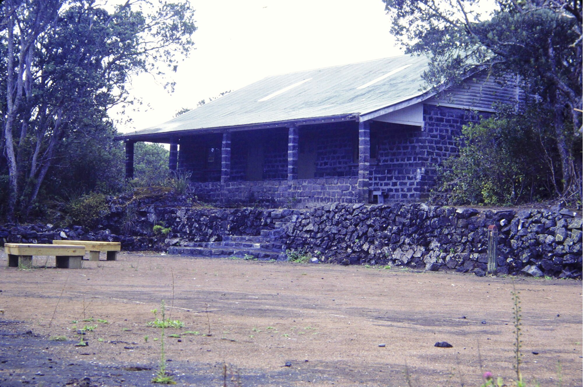 Old tennis courts Rangitoto Island