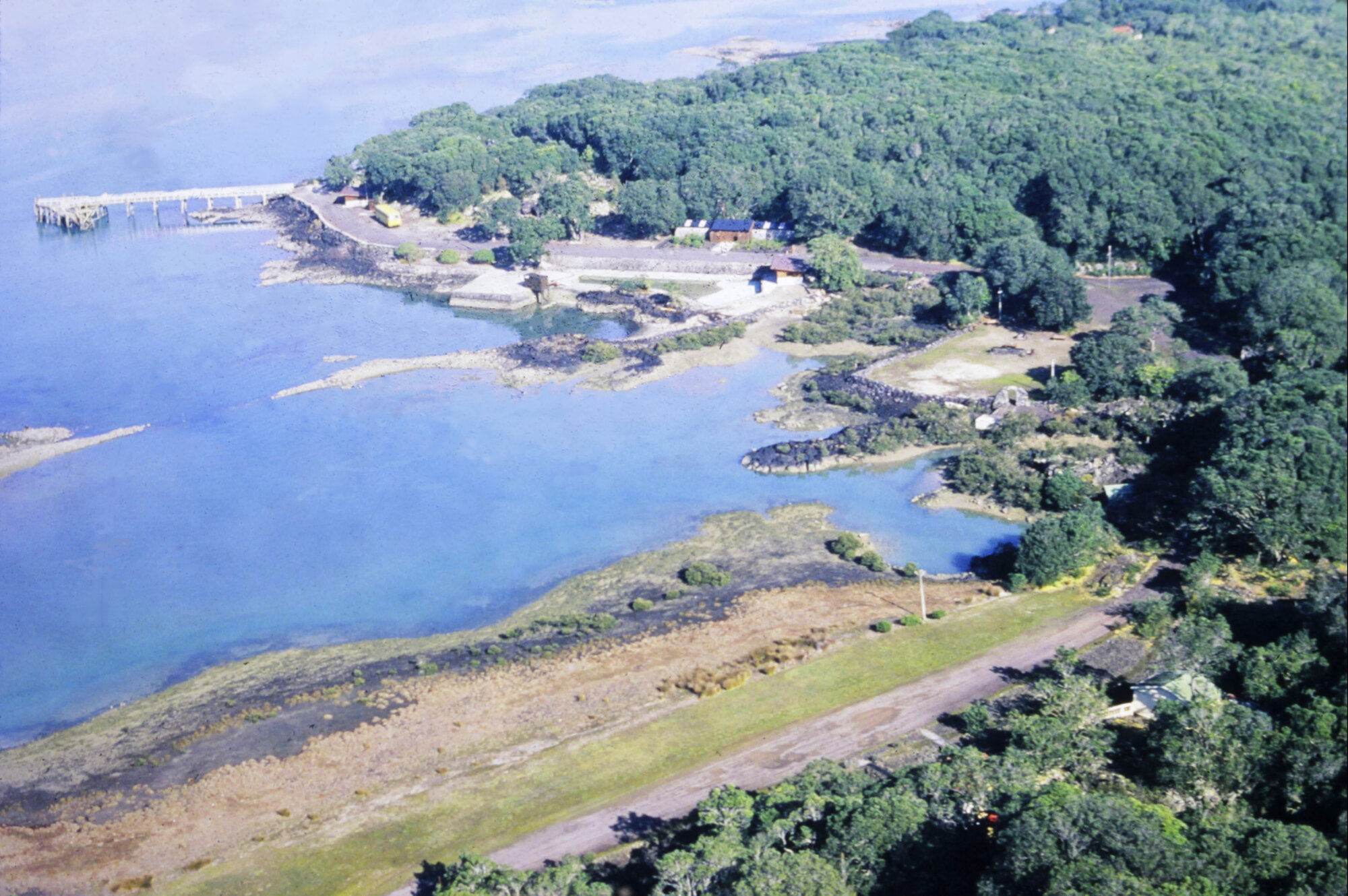 Rangitoto Wharf area from the plane
