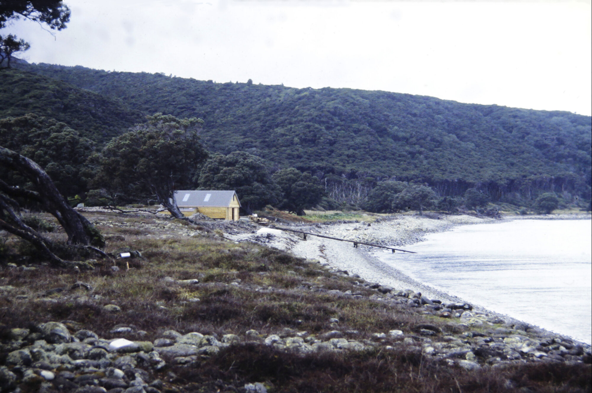 Side view boatshed at Titoki Point, Little Barrier 