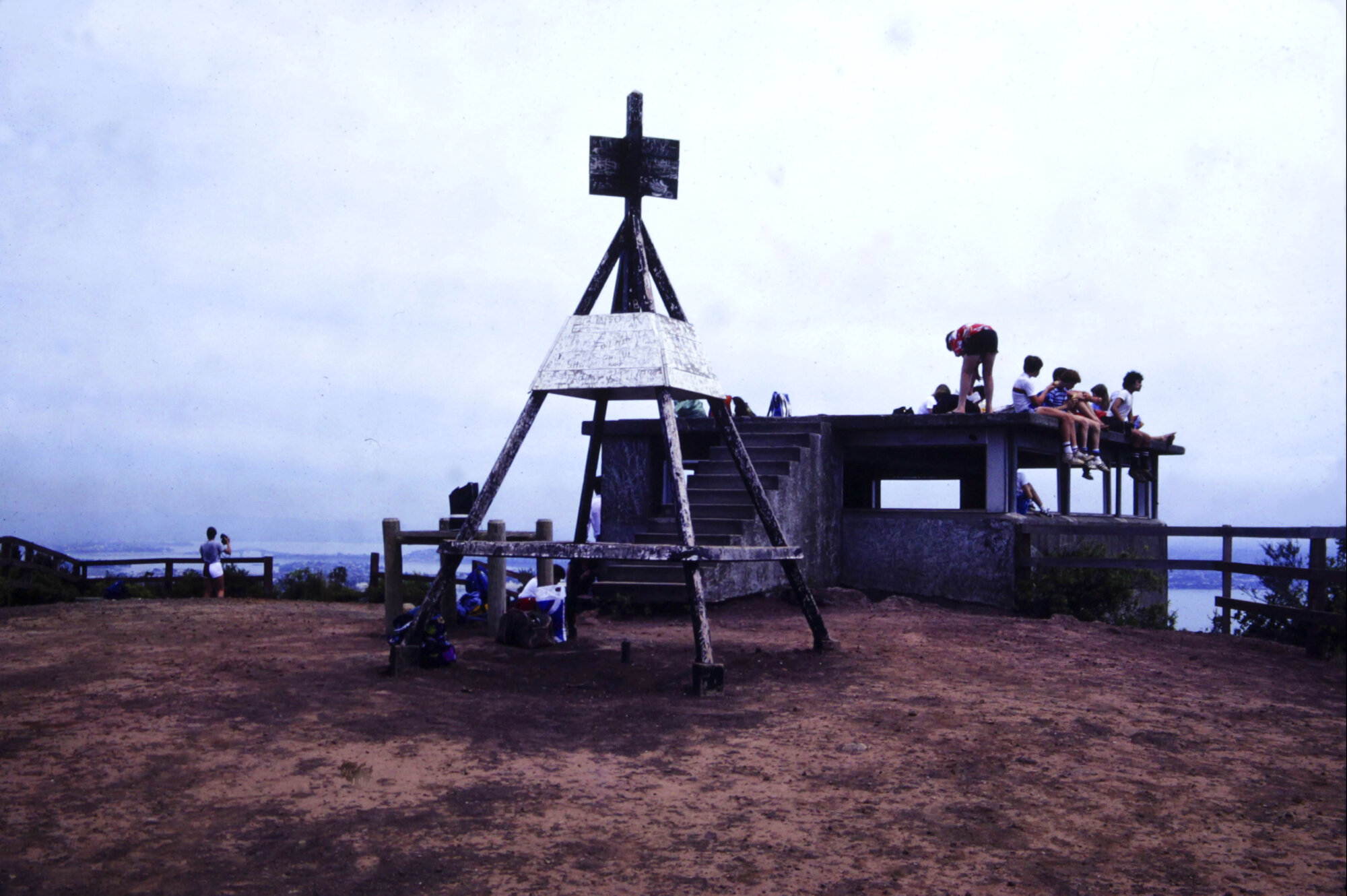 Top of Rangitoto Island