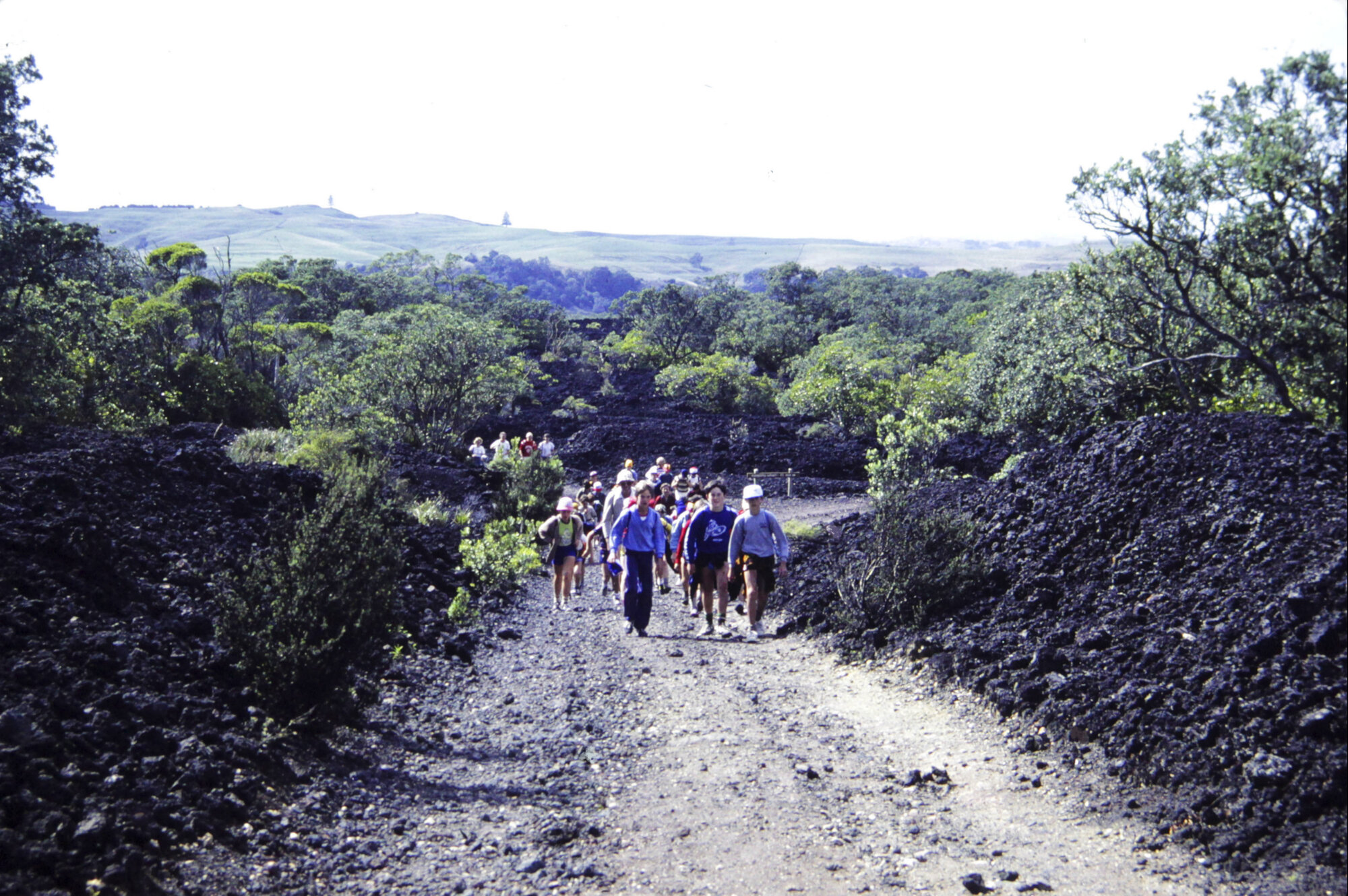 Walk to Rangitoto summit, Rangitoto Island