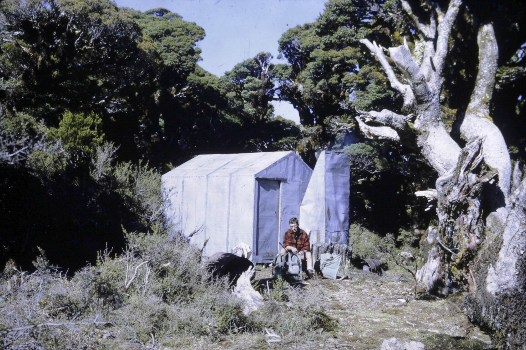 Manuoha Hut, Te Urewera National Park