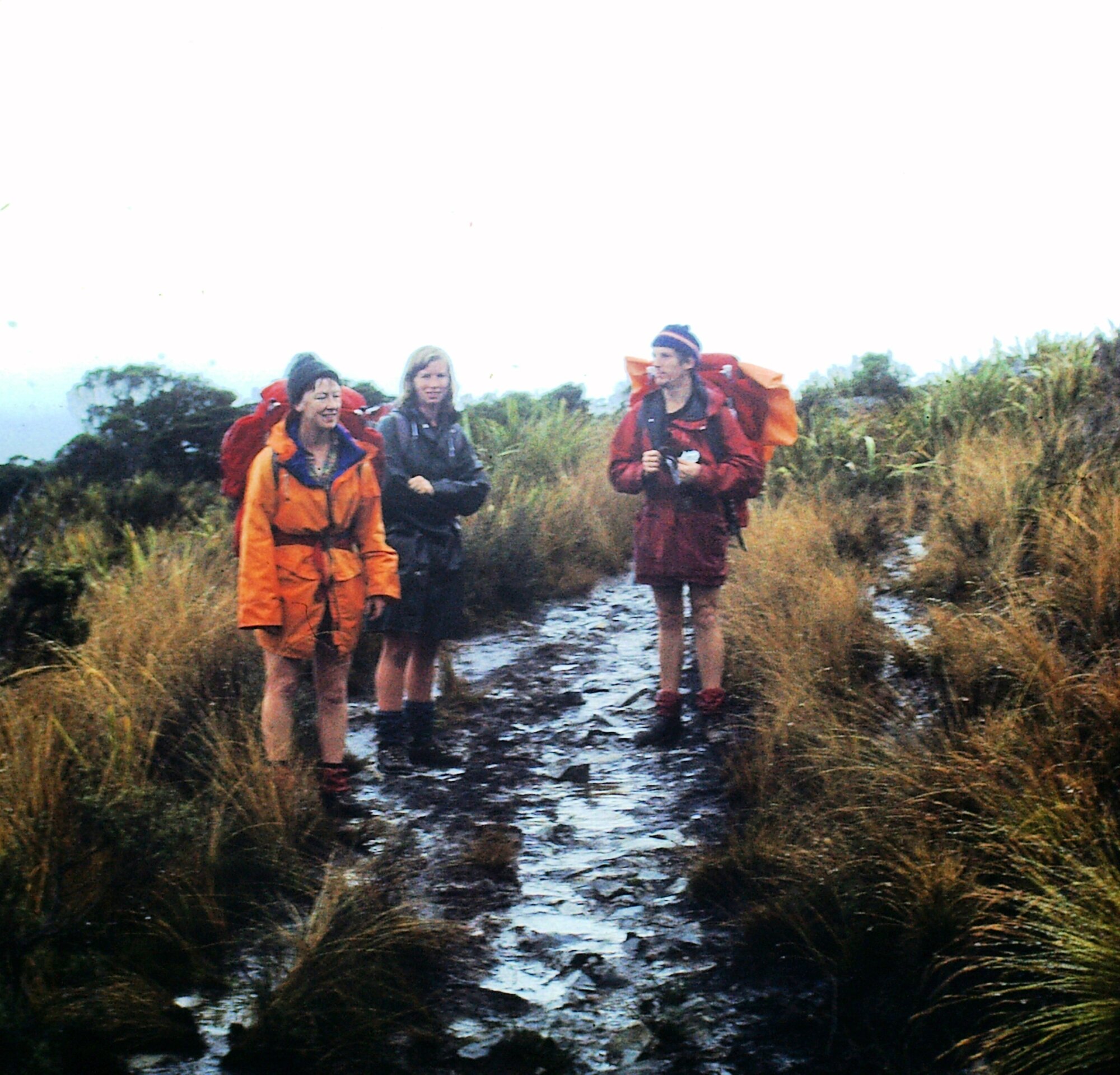 Tramping, Tongariro National Park, 1975