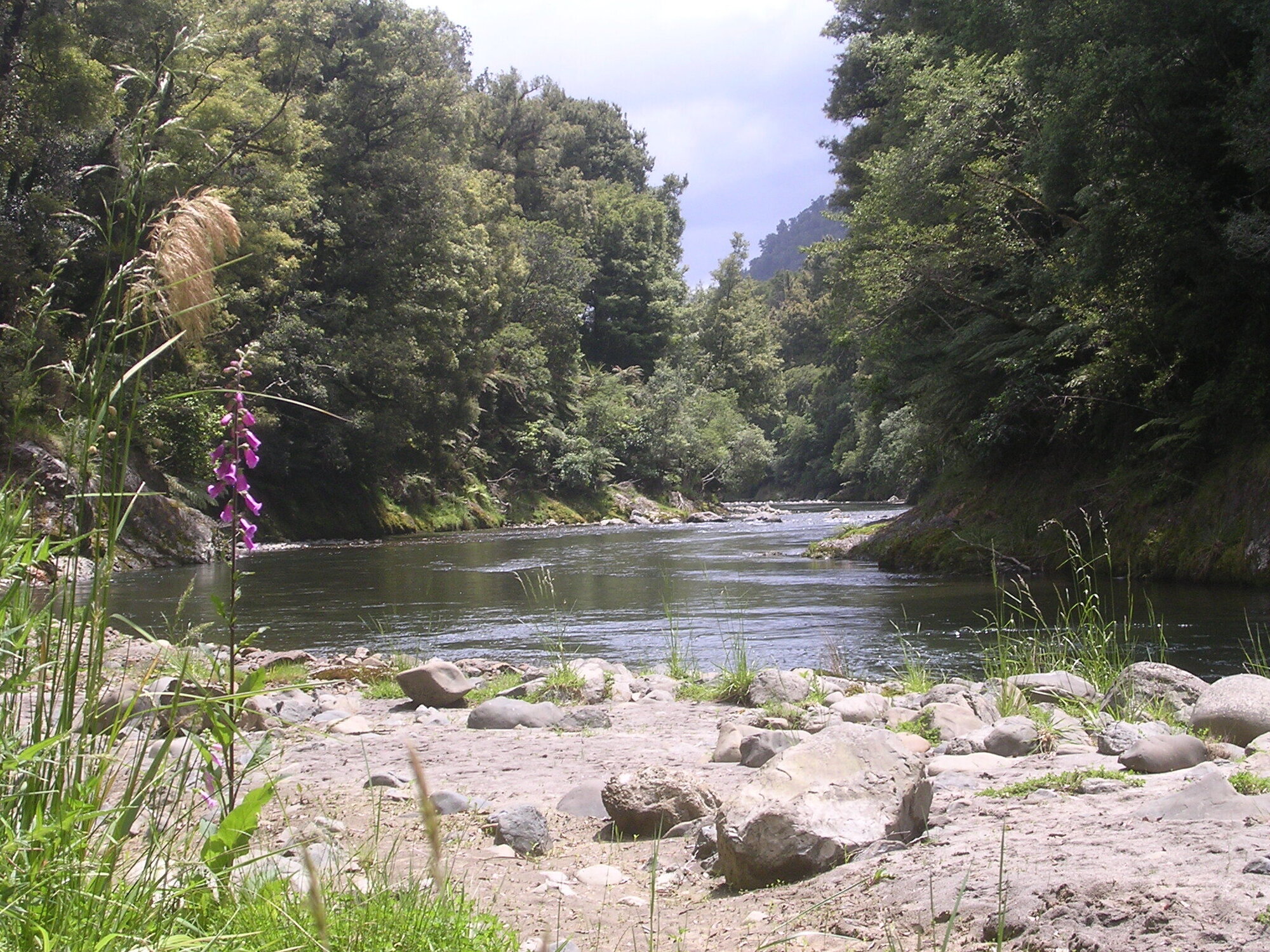Whakatane River Te Urewera National Park