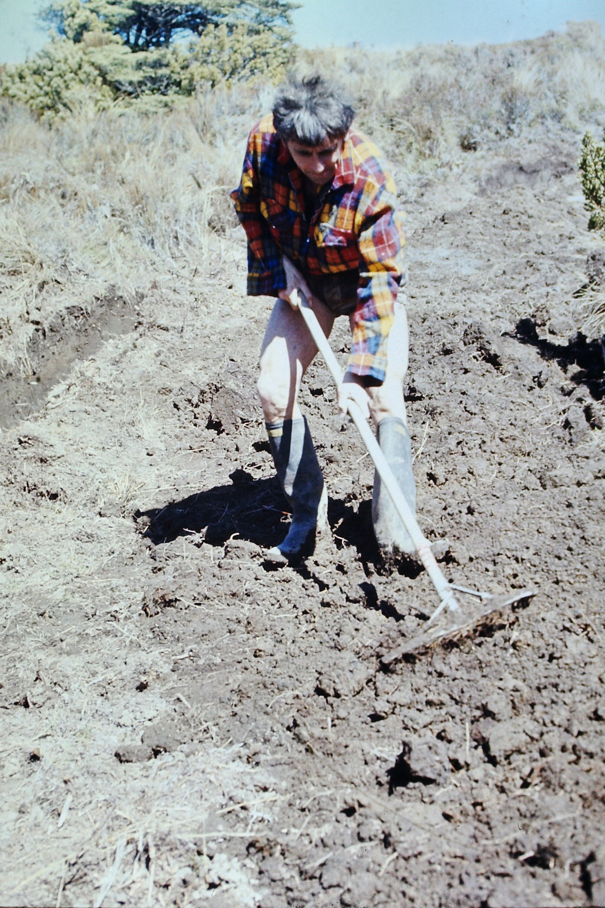 Track work at Tongariro National Park