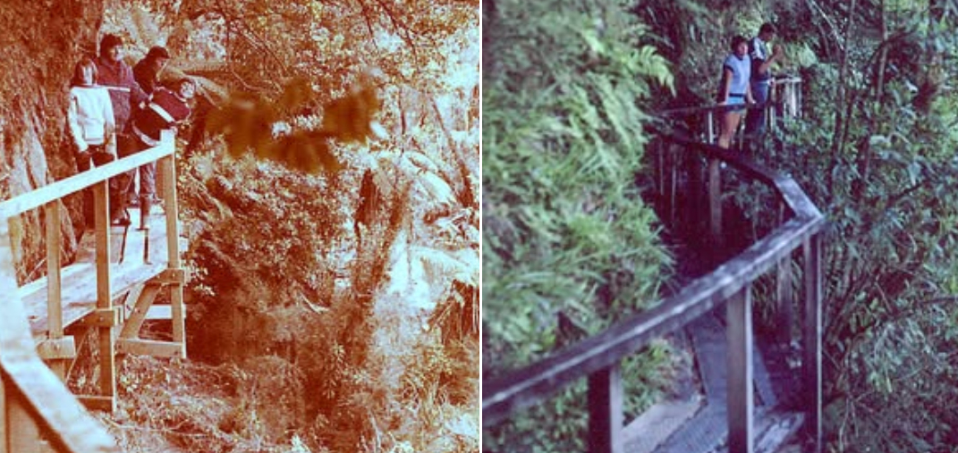 Construction Hollyford Track: Fiordland National Park