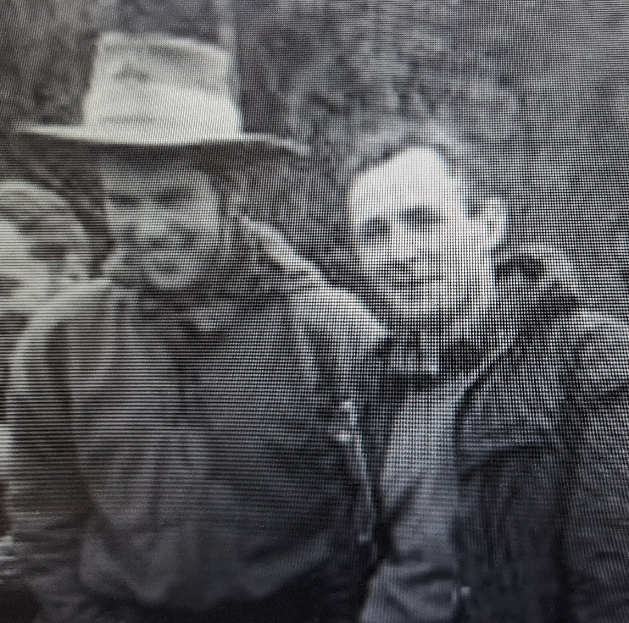 Mervyn Burke and John Charles: clearing the Copland Track 1964