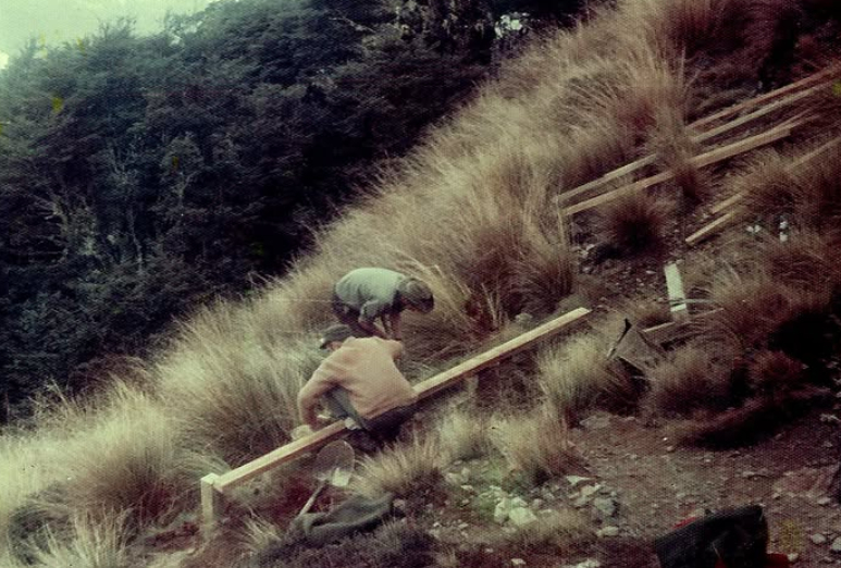 Building the shelter: Nelson Lakes National Park