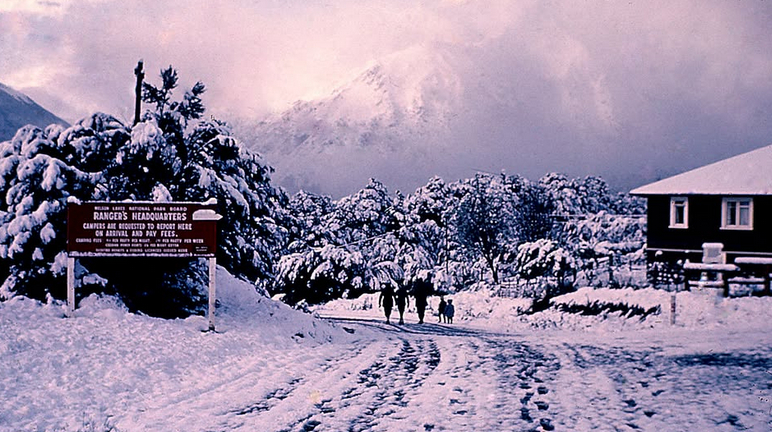 Snow at Christmas: Nelson Lakes National Park