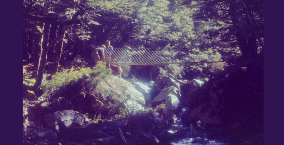 George Lyons bridge: Nelson Lakes National Park