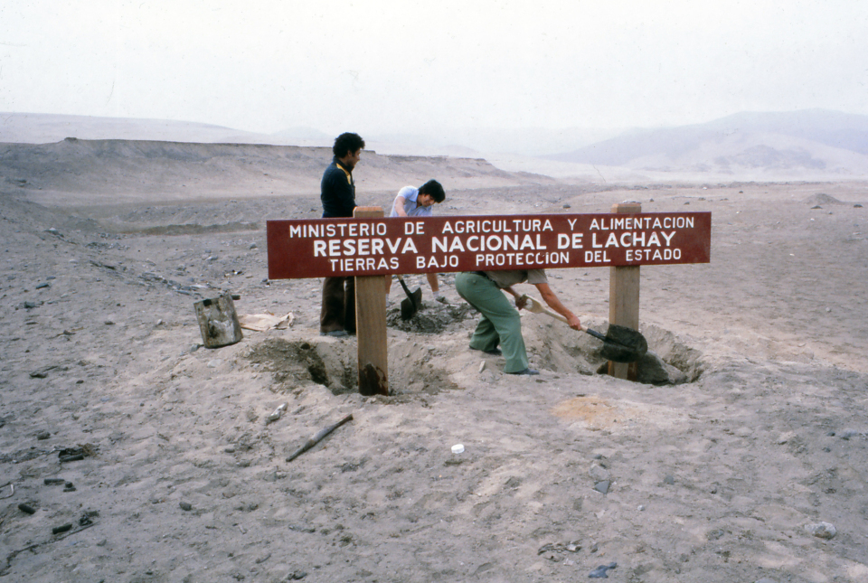 Reserve sign: Lomas de Lachay National Reserve