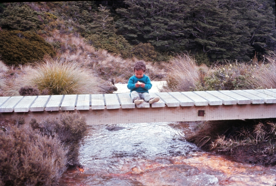 Standard track bridge: Tongariro National Park