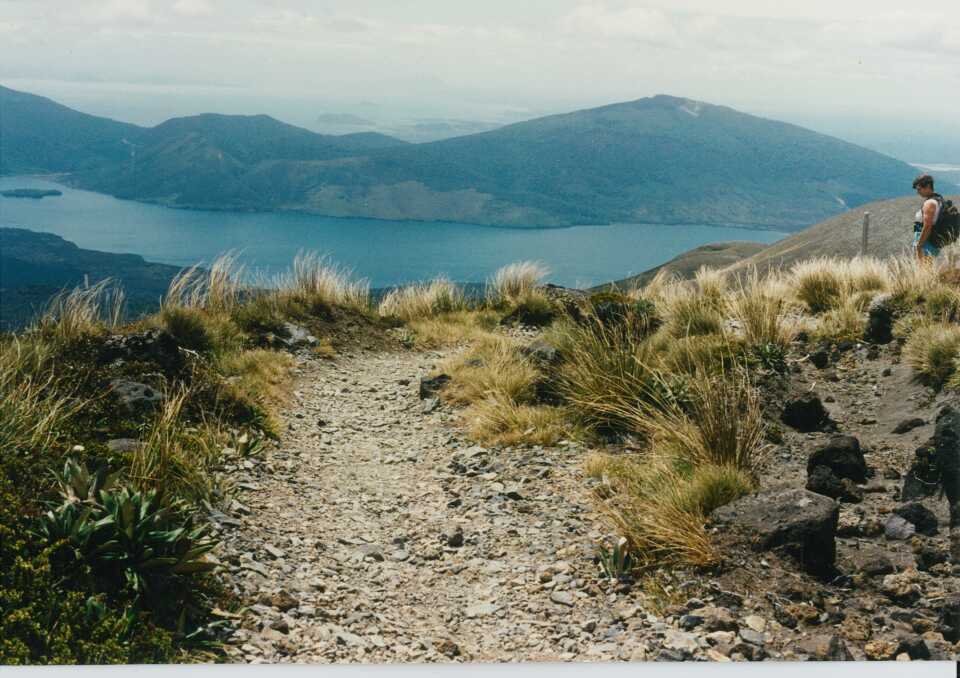 Track to Ketetahi springs and hut: Tongariro National Park