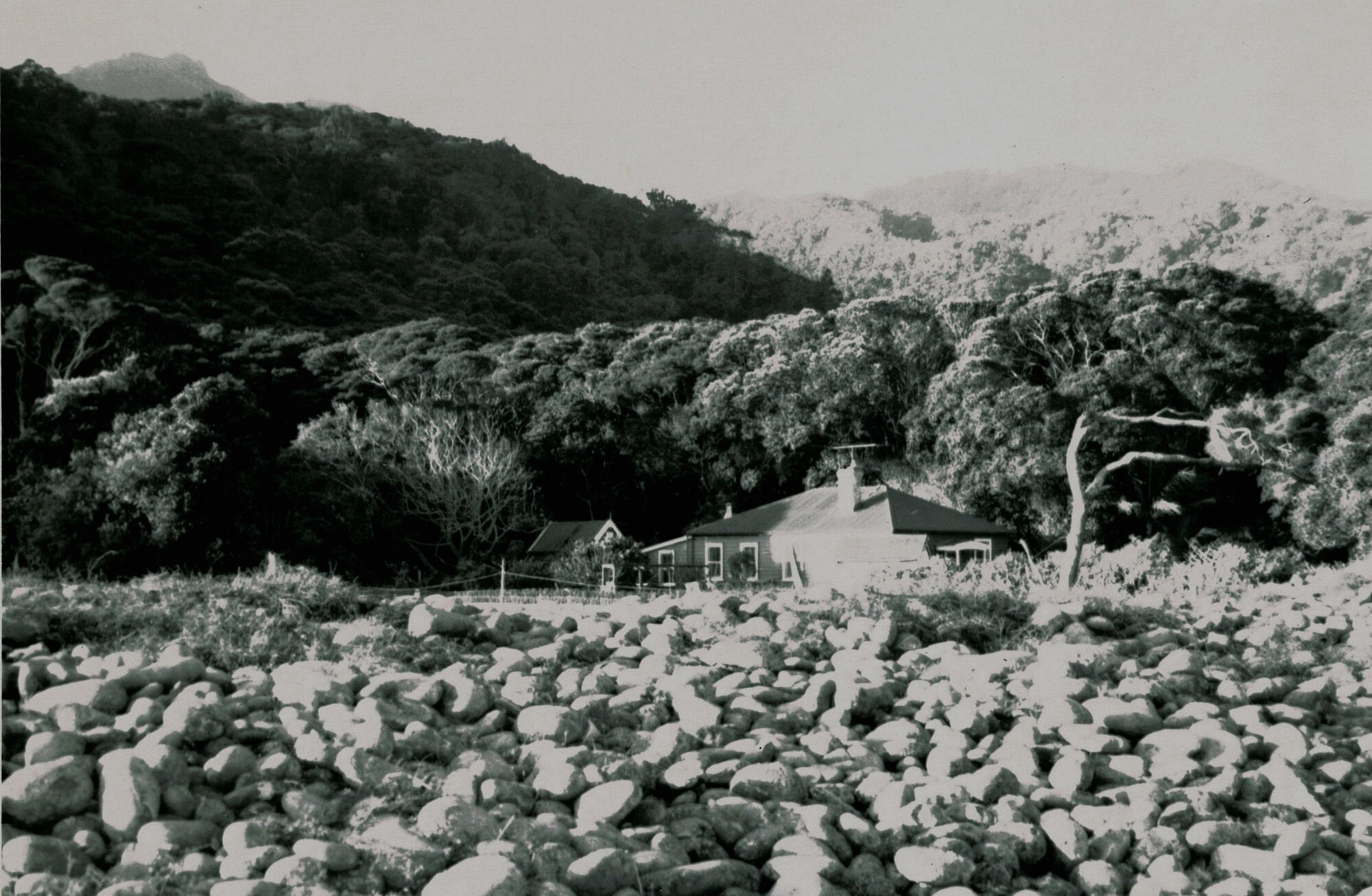 Ranger's House Little Barrier