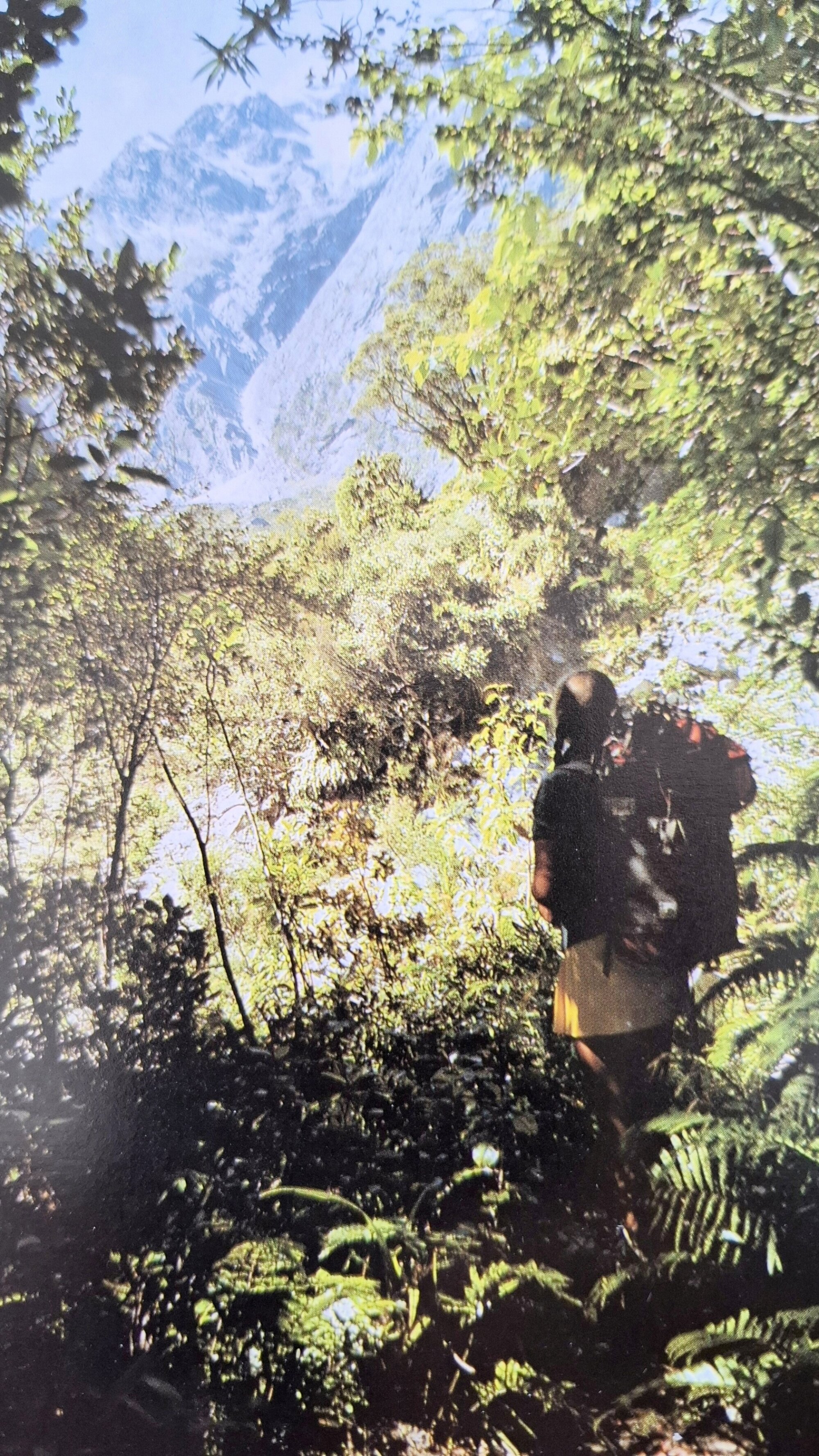 Tramper in the Copland Valley 1975