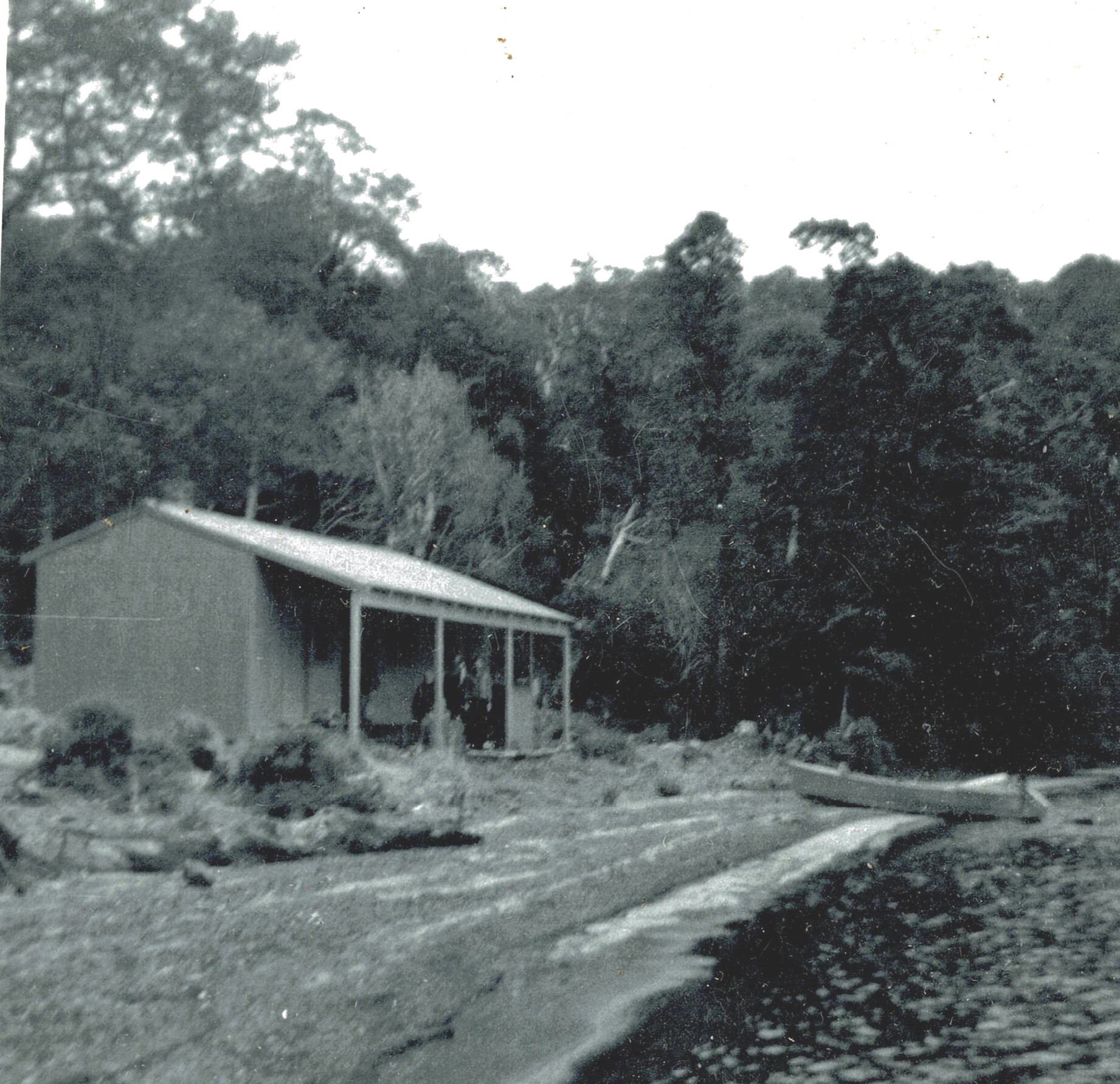 Waikareiti Hut - Te Urewera National Park