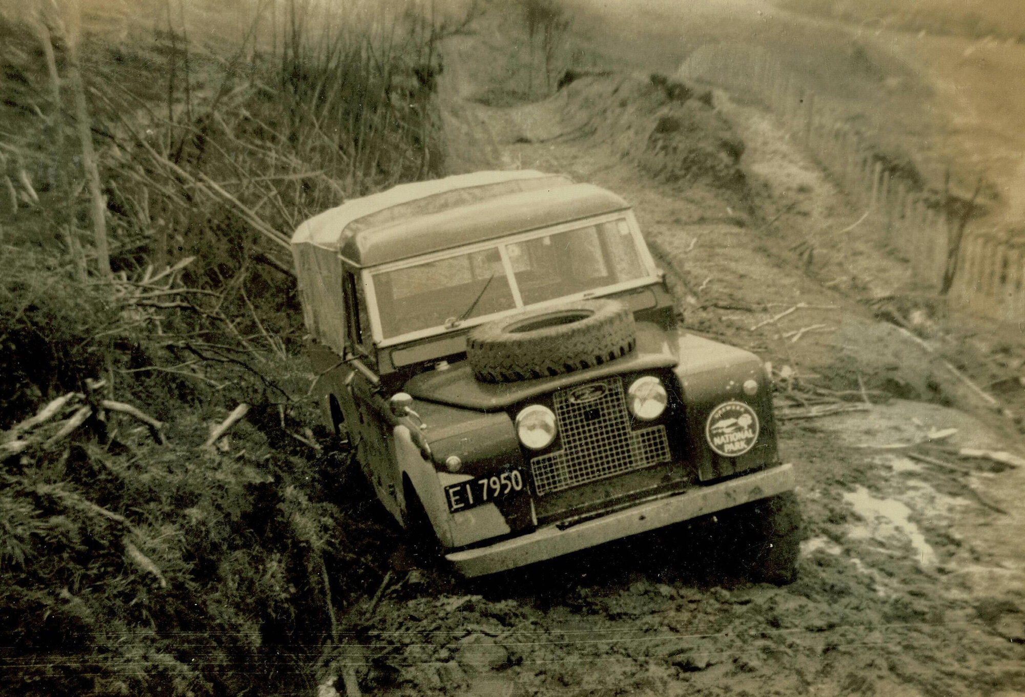 The old Landrover - Te Urewera National Park 1967