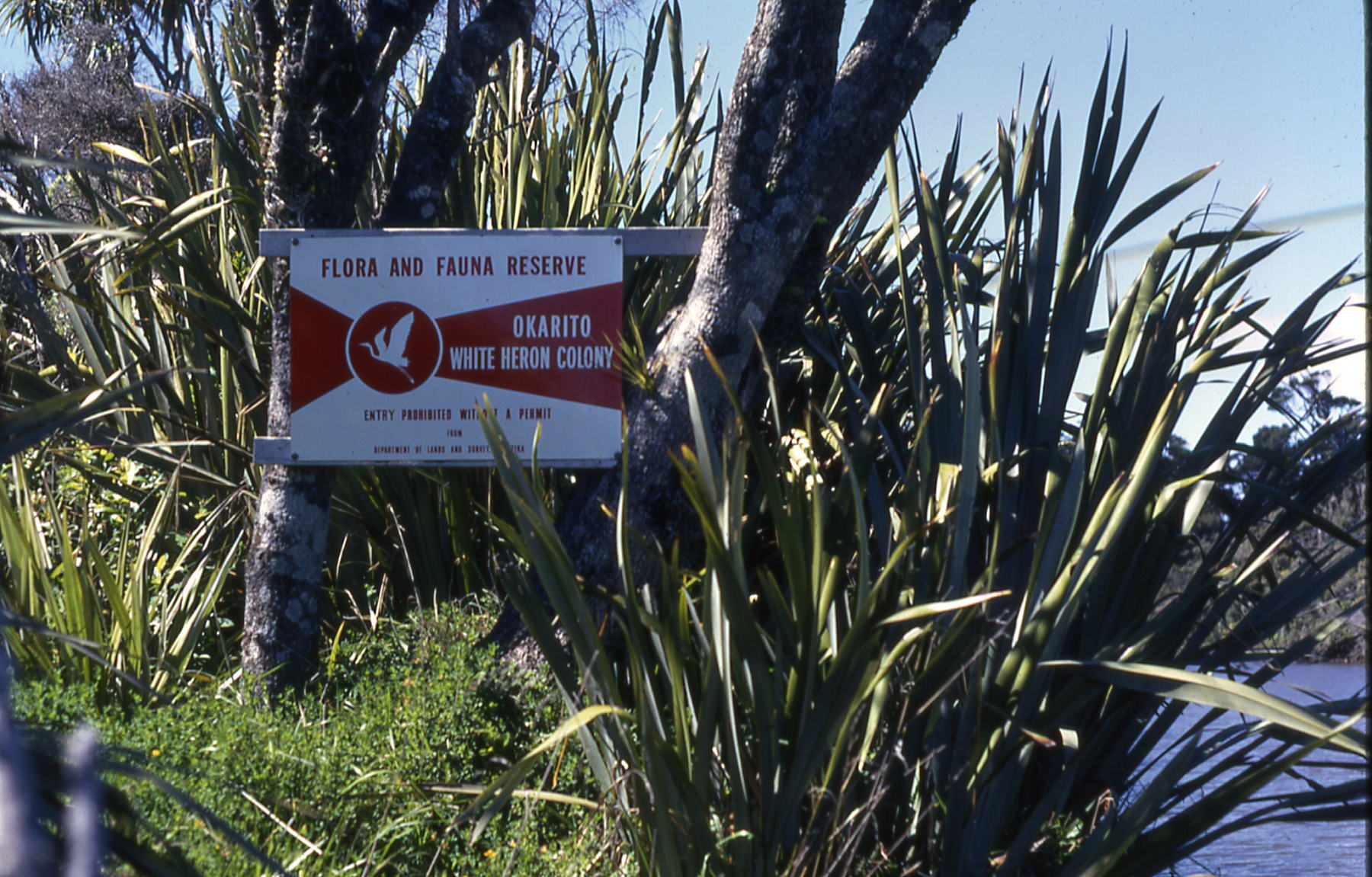 Entry sign for Okarito White Heron Colony 1971