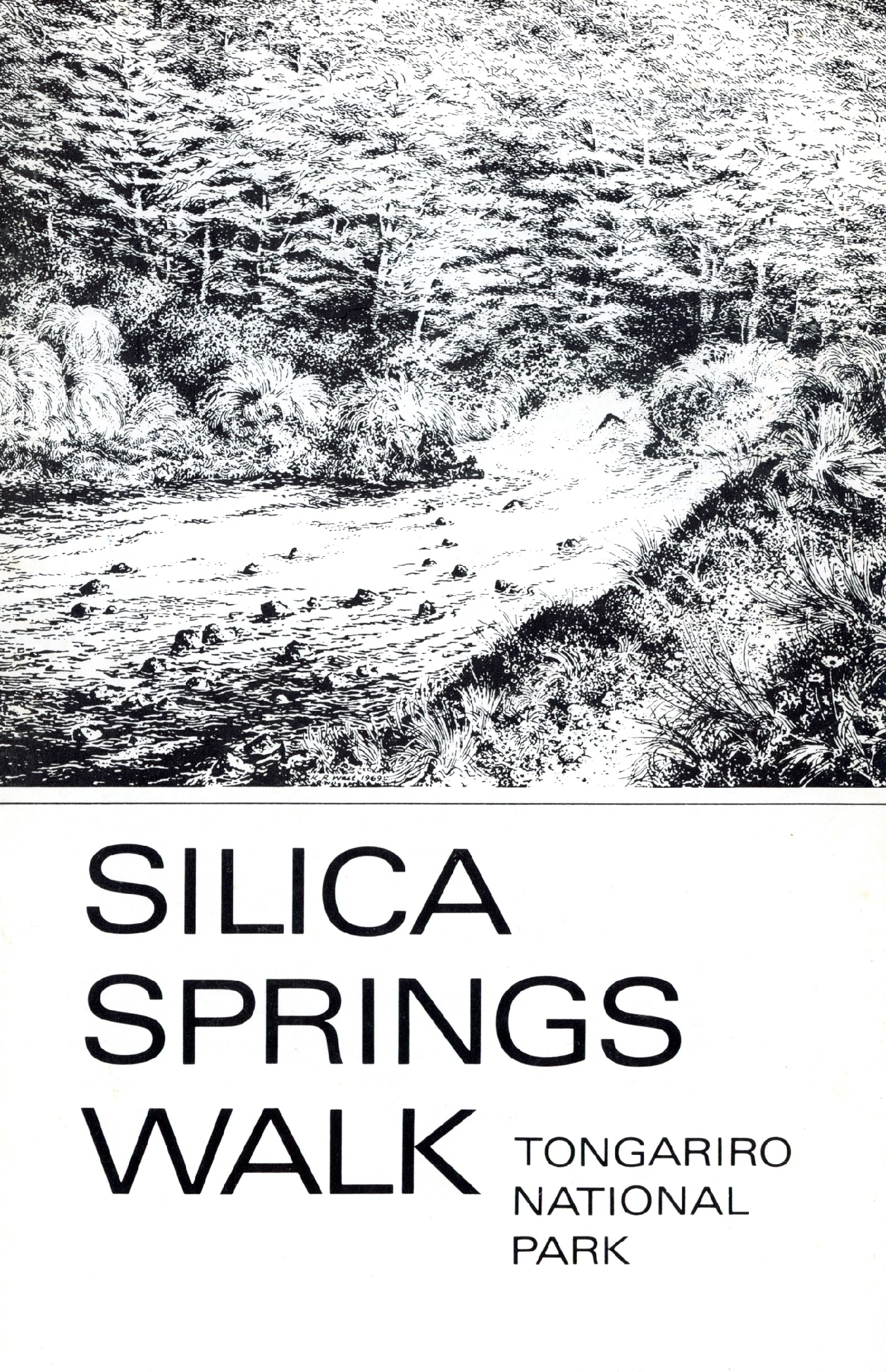 Silica Springs Walk: Tongariro National Park