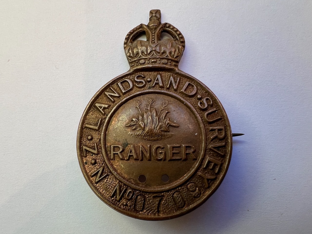 Lands and Survey Badge