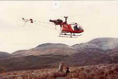 Flying track metal to Ketetahi Track: Tongariro National Park 