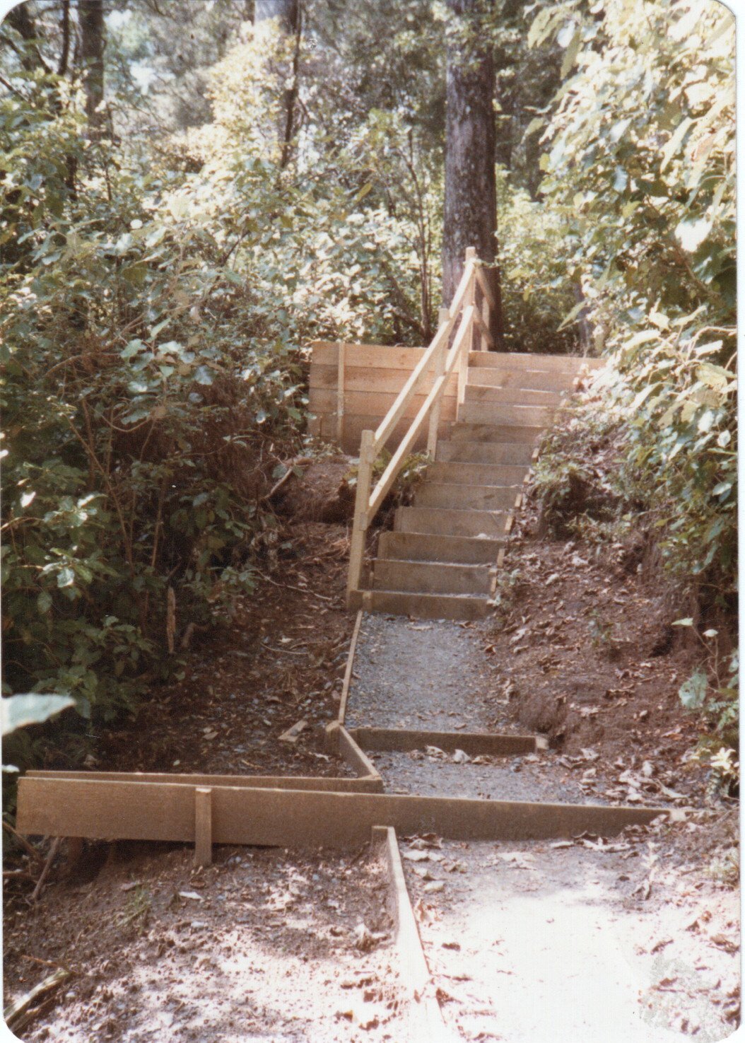 Ketetahi Track upgrade: Tongariro National Park