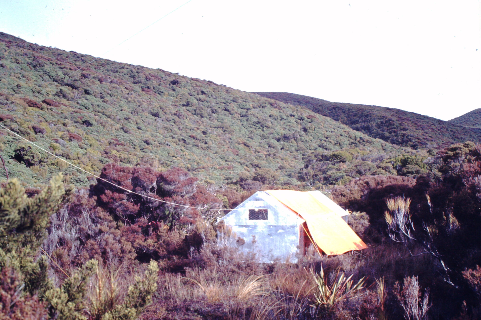 Kakapo search camp at Smiths Lookout Stewart Island,1977