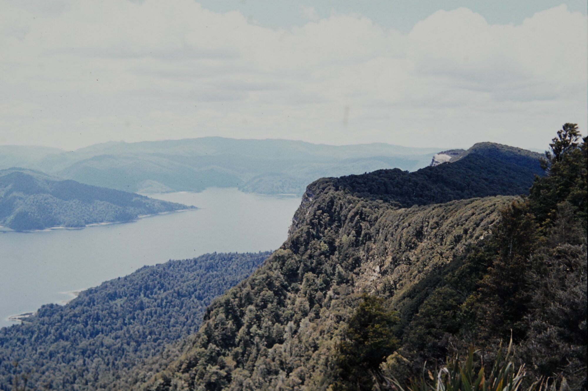 Lake Waikaremoana from Panekiri Bluff: Te Urewera National Park