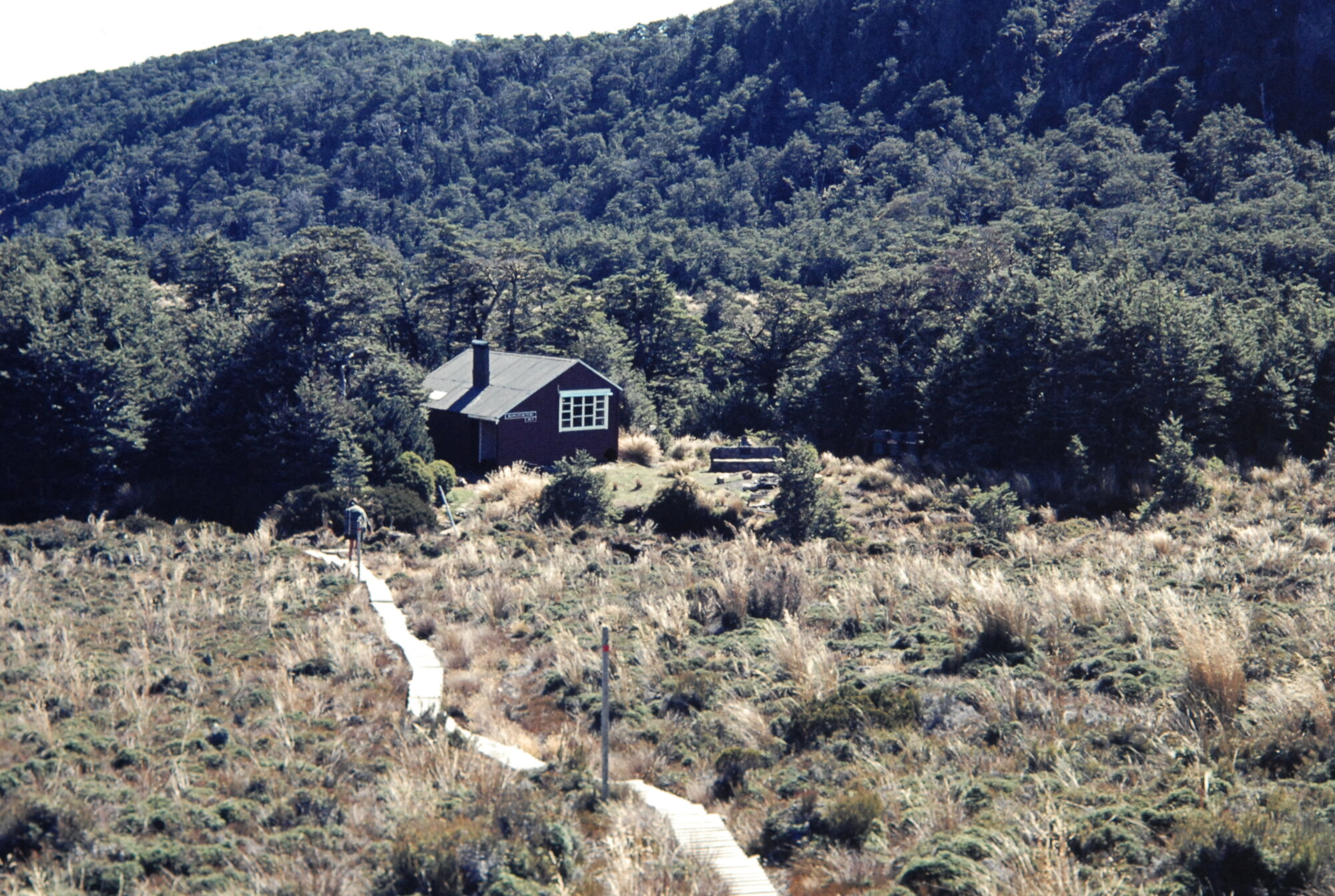 Mangaturuturu Hut: Tongariro National Park