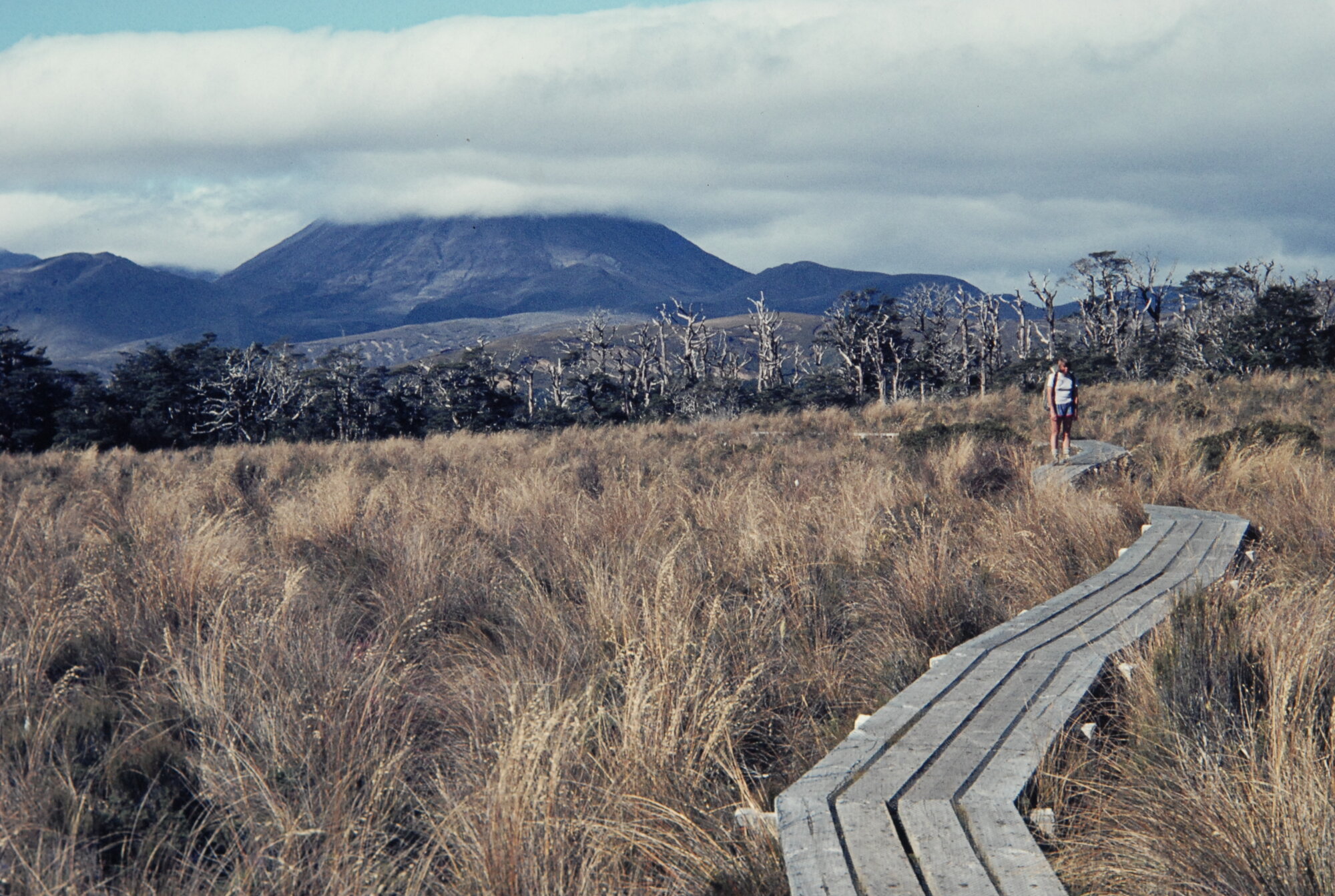 Round the Mountain Track: Tongariro National Park