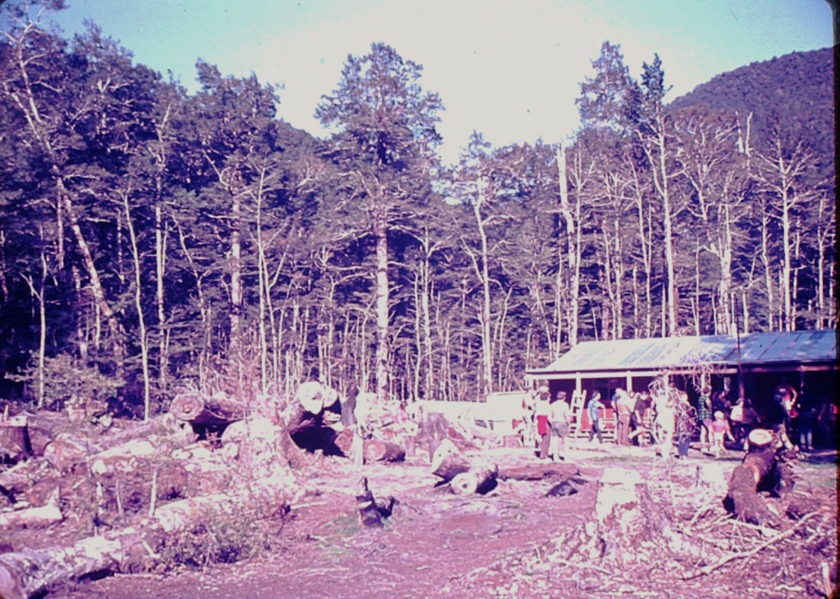 Lake Daniels Hut: Lewis Pass National Reserve