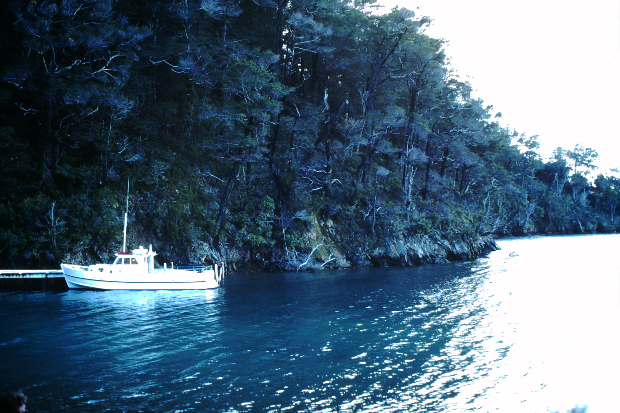 Pelorous Ranger: Marlborough Sounds