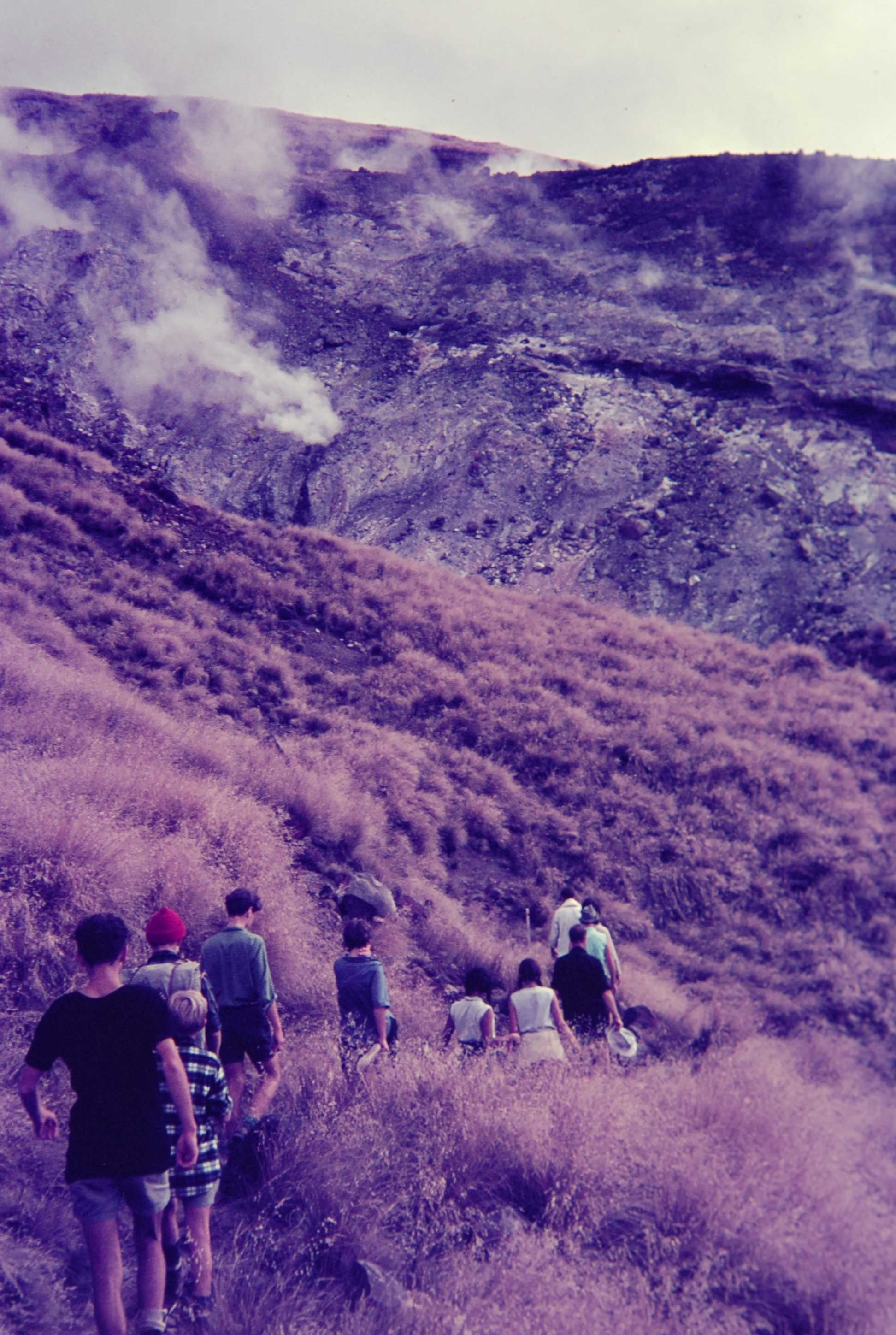 Ketetahi Track: Tongariro National Park