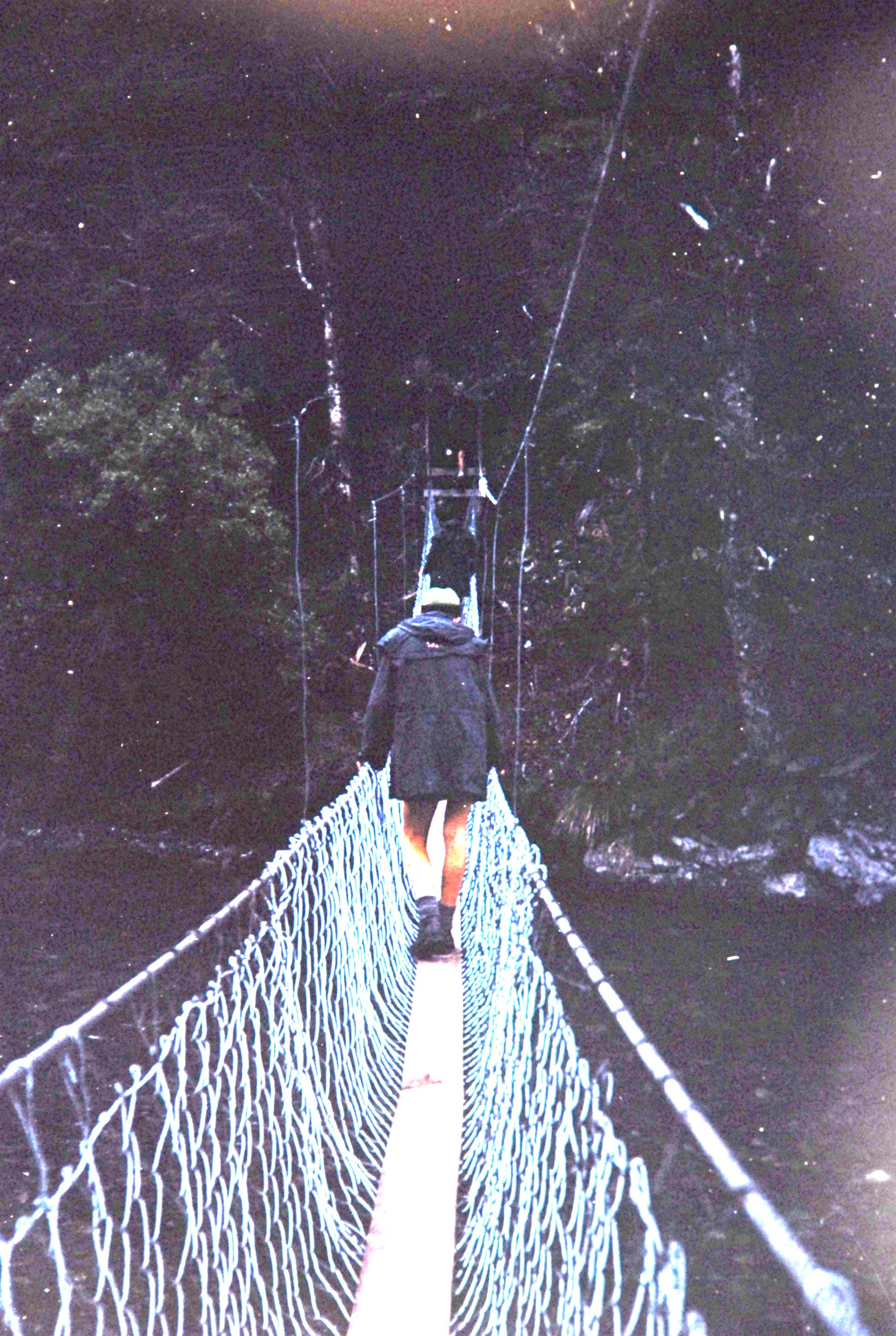 Lyons Bridge: Nelson Lakes National Park