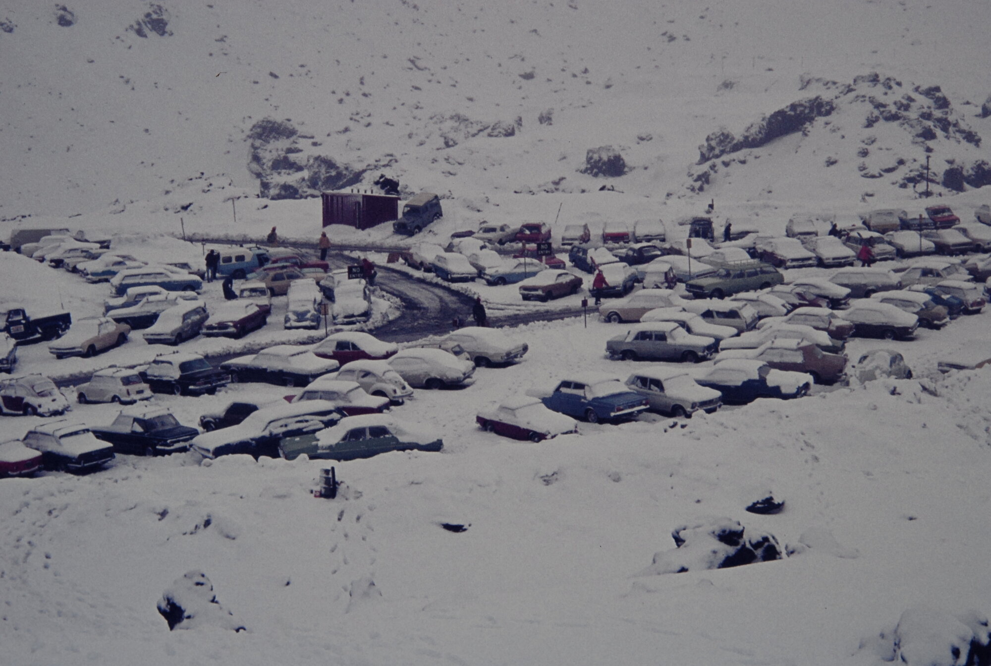 Top Of the Bruce Road, Tongariro National Park 1972