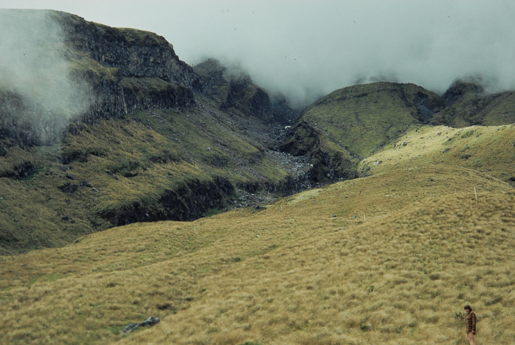 Brames Falls Track: Egmont National Park