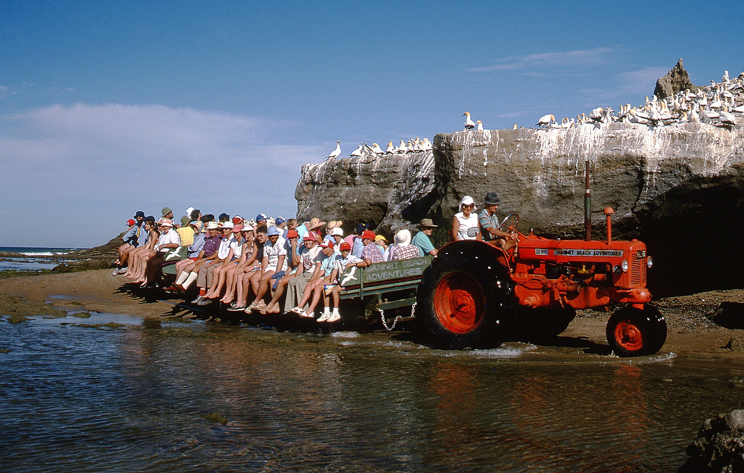 Cape Kidnappers Black Reef - Neil Burden at the wheel, Gannet Beach Adventures 1986