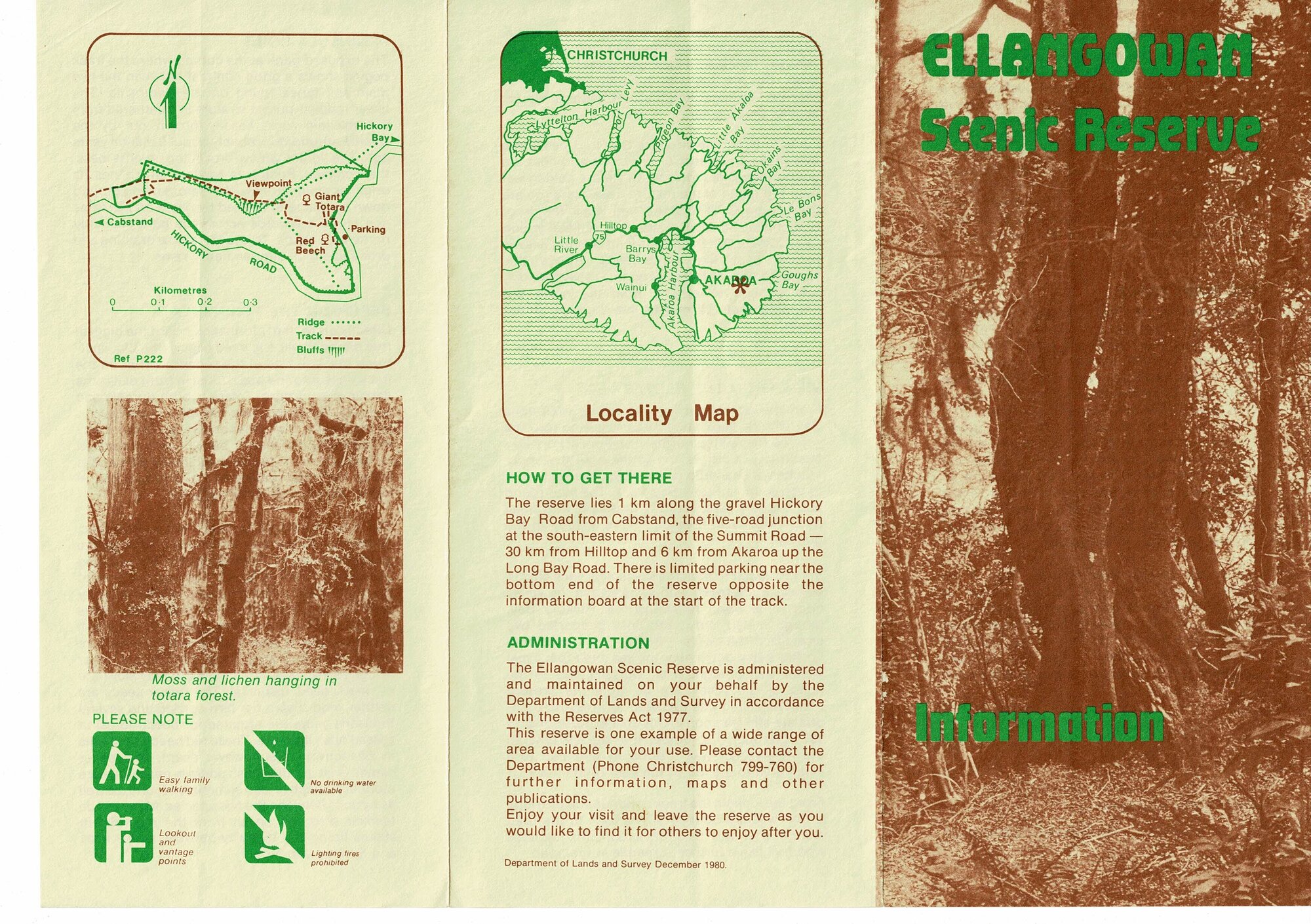 Ellangowan Scenic Reserve: banks Peninsular