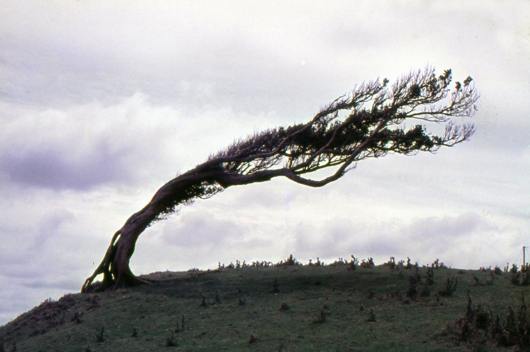 Chatham Islands: Wellington Land District