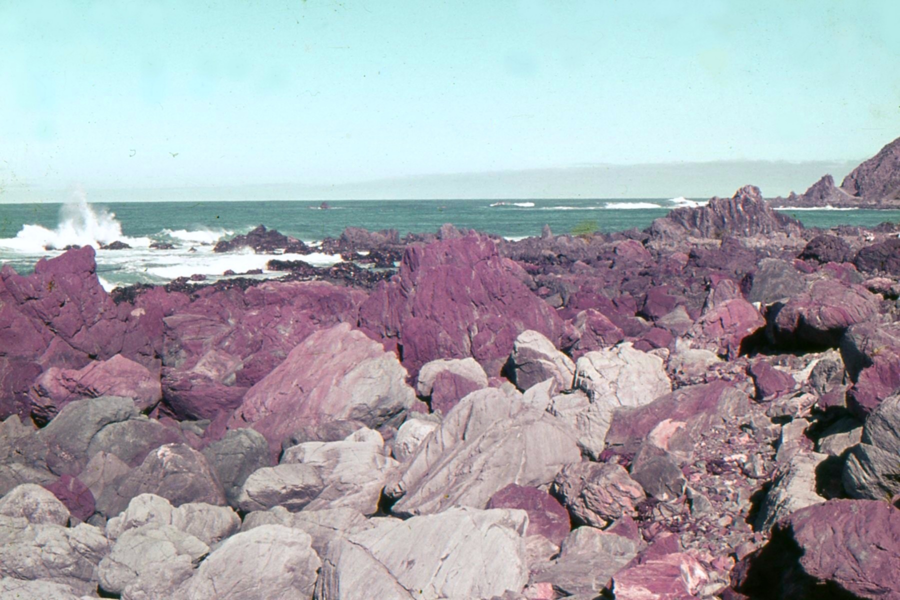 Red Rocks Scenic Reserve: Wellington Land District