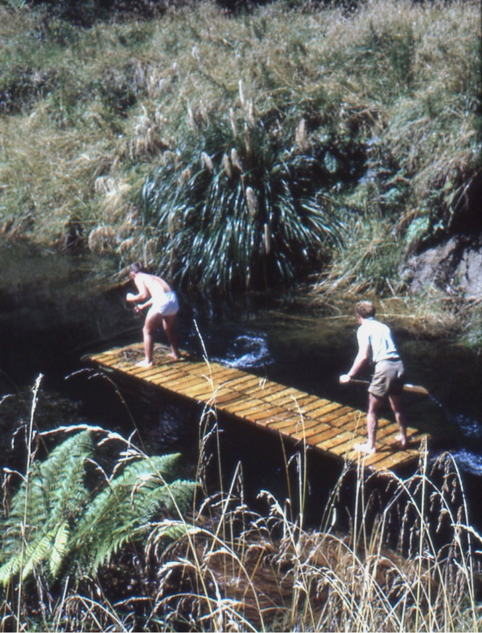 Paddling a bridge: Te Urewera National Park